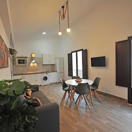Apartment Palacete Centro Duque De Valais